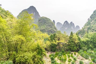 Xingping